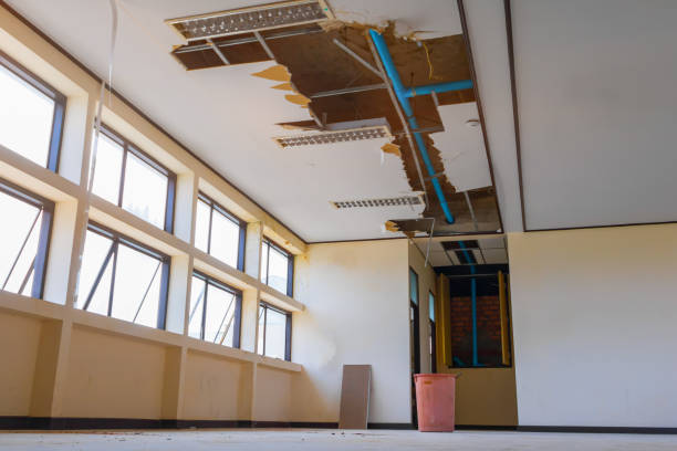 Best Professional water damage repair  in Belmont, WI