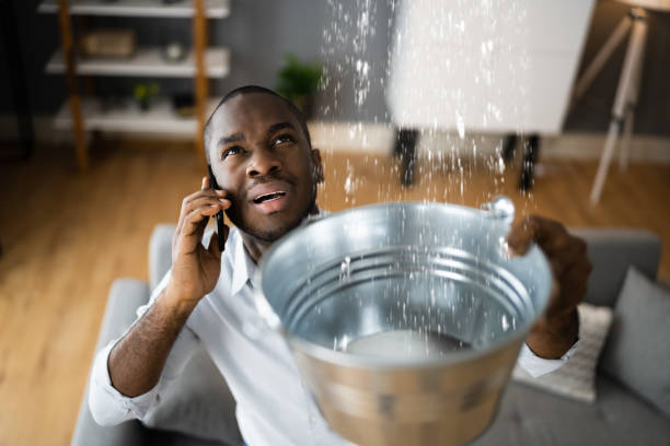 Best Sewage cleanup and water damage restoration  in Belmont, WI