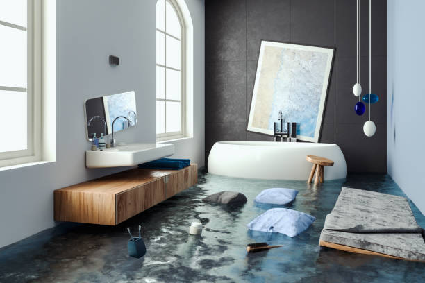 Best Water damage restoration company  in Belmont, WI