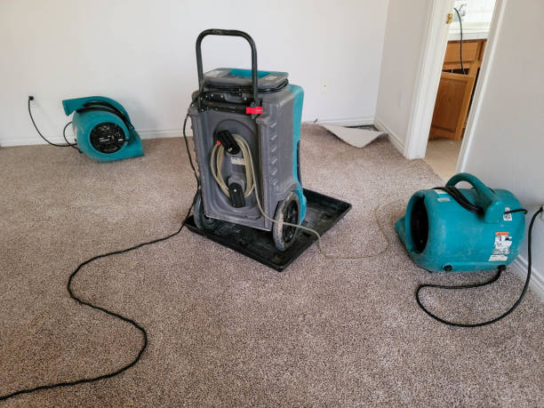 Best Water damage cleanup near me  in Belmont, WI