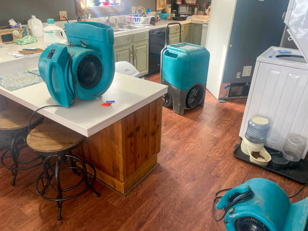 Best Residential water damage restoration  in Belmont, WI