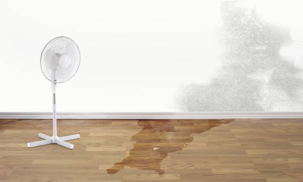Best Water damage restoration cost  in Belmont, WI