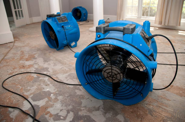 Best Water damage contractors near me  in Belmont, WI