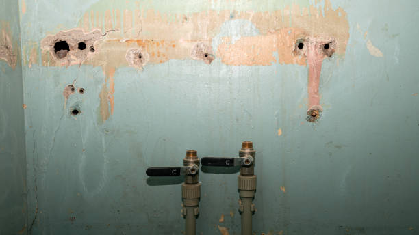 Best Water damage restoration experts  in Belmont, WI