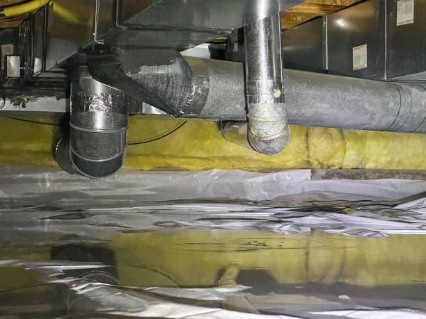 Best Water damage restoration near me  in Belmont, WI