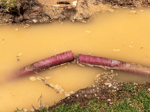 Water damage restoration experts in WI