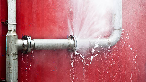 Best Residential water damage restoration  in Belmont, WI